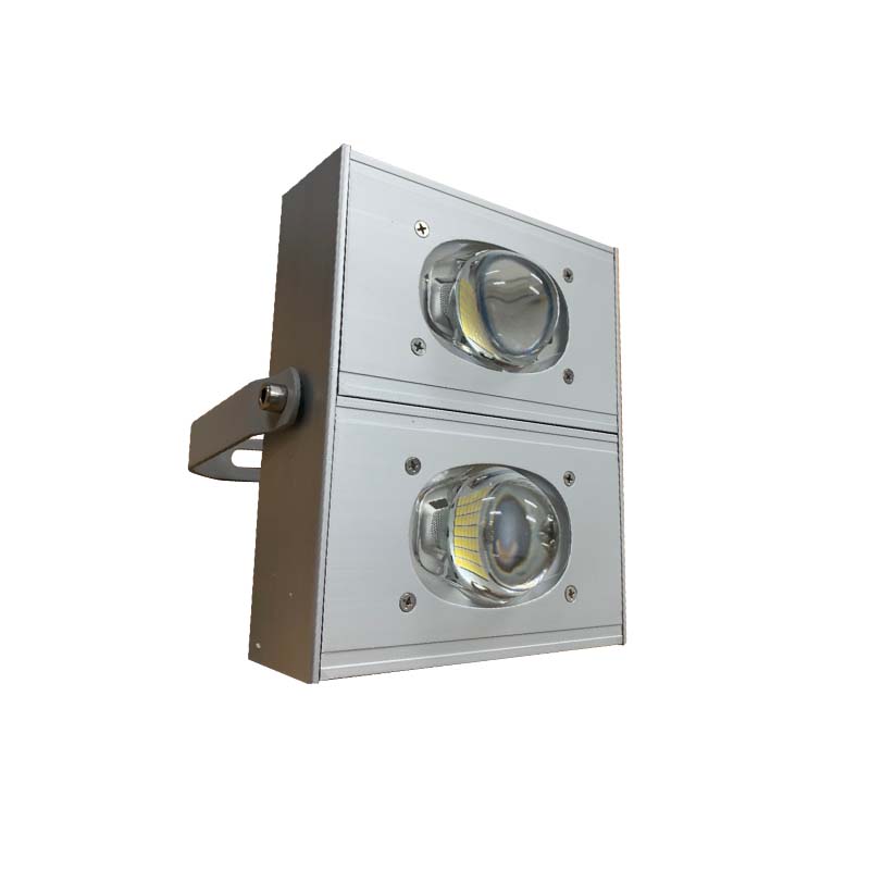 đèn đánh cá 100w